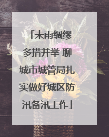 未雨绸缪 多措并举 聊城市城管局扎实做好城区防汛备汛工作