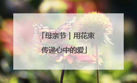 母亲节｜用花束传递心中的爱