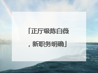 正厅级陈白薇，新职务明确
