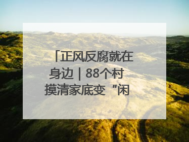 正风反腐就在身边｜88个村摸清家底变“闲”为“宝”