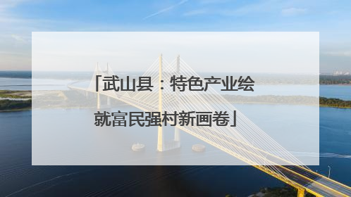 武山县：特色产业绘就富民强村新画卷