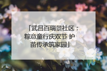 武昌百瑞景社区：粽意童行庆双节 护苗传承筑家园