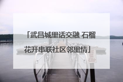 武昌城里话交融 石榴花开串联社区邻里情