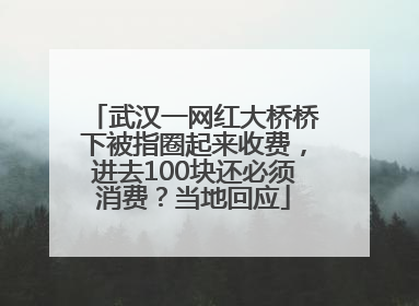 武汉一网红大桥桥下被指圈起来收费，进去100块还必须消费？当地回应