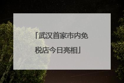 武汉首家市内免税店今日亮相
