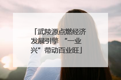 武陵源点燃经济发展引擎 “一业兴”带动百业旺
