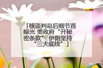 核谈判幕后细节首曝光 美政府“开秘密条款” 伊朗坚持“三大底线”