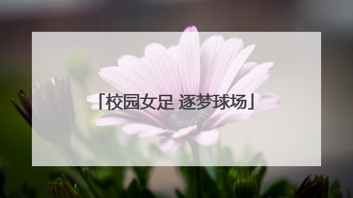 校园女足 逐梦球场