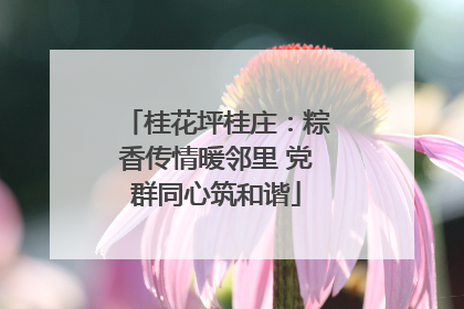 桂花坪桂庄：粽香传情暖邻里 党群同心筑和谐