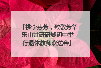 桃李芬芳，致敬芳华 乐山井研研城初中举行退休教师欢送会