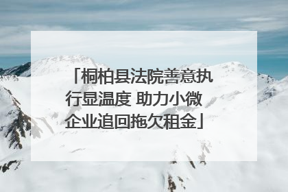 桐柏县法院善意执行显温度 助力小微企业追回拖欠租金