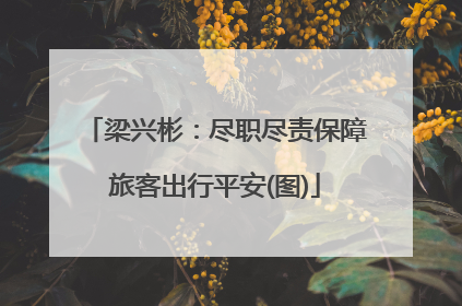 梁兴彬：尽职尽责保障旅客出行平安(图)