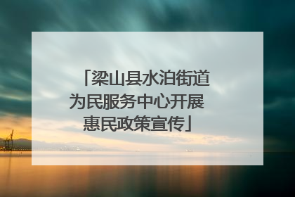 梁山县水泊街道为民服务中心开展惠民政策宣传