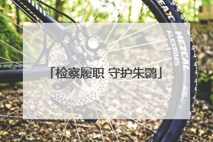 检察履职 守护朱鹮