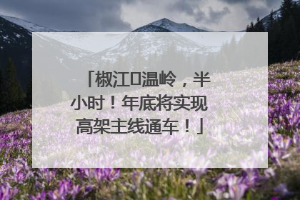 椒江⇌温岭，半小时！年底将实现高架主线通车！