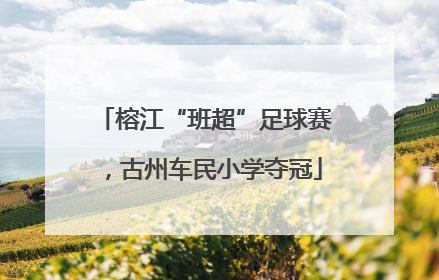 榕江“班超”足球赛，古州车民小学夺冠