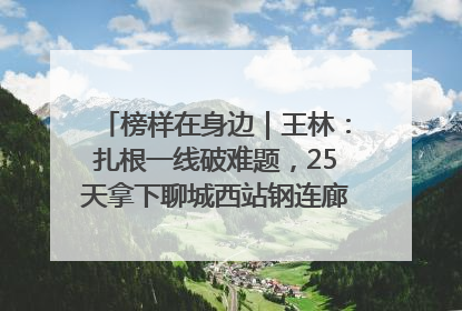 榜样在身边｜王林：扎根一线破难题，25天拿下聊城西站钢连廊“硬核”工程