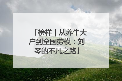 榜样｜从养牛大户到全国劳模：刘琴的不凡之路