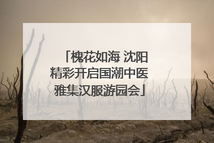 槐花如海 沈阳精彩开启国潮中医雅集汉服游园会