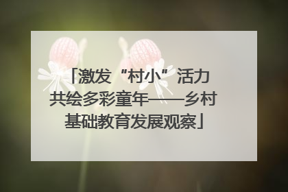 激发“村小”活力 共绘多彩童年——乡村基础教育发展观察