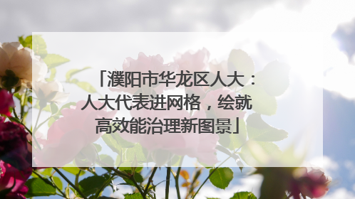 濮阳市华龙区人大：人大代表进网格，绘就高效能治理新图景