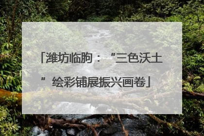 潍坊临朐：“三色沃土”绘彩铺展振兴画卷