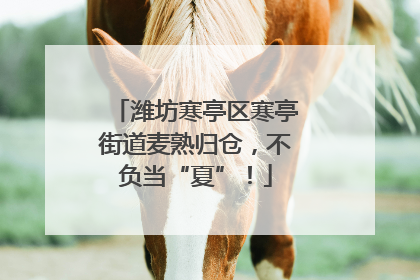 潍坊寒亭区寒亭街道麦熟归仓，不负当“夏”！