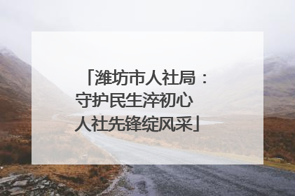 潍坊市人社局：守护民生淬初心 人社先锋绽风采