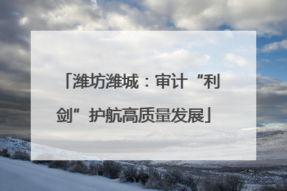 潍坊潍城：审计“利剑”护航高质量发展
