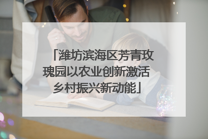 潍坊滨海区芳青玫瑰园以农业创新激活乡村振兴新动能