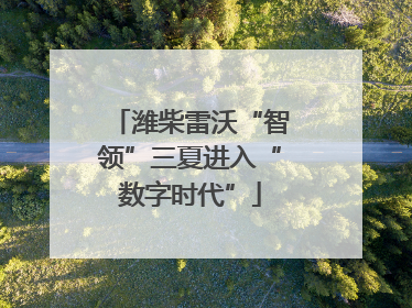 潍柴雷沃“智领”三夏进入“数字时代”