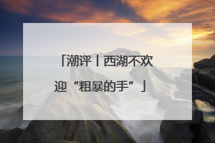 潮评丨西湖不欢迎“粗暴的手”
