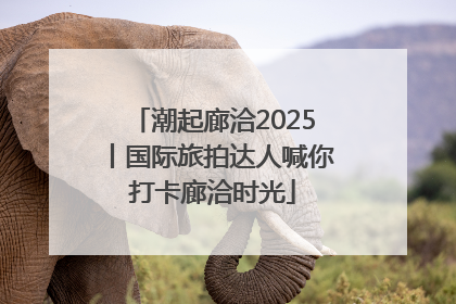 潮起廊洽2025丨国际旅拍达人喊你打卡廊洽时光