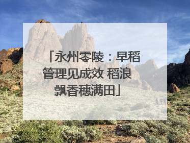 永州零陵：早稻管理见成效 稻浪飘香穗满田