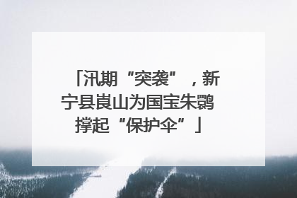 汛期“突袭”，新宁县崀山为国宝朱鹮撑起“保护伞”