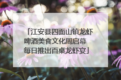 江安县四面山镇龙虾啤酒美食文化周启幕 每日推出百桌龙虾宴