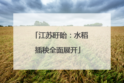 江苏盱眙：水稻插秧全面展开