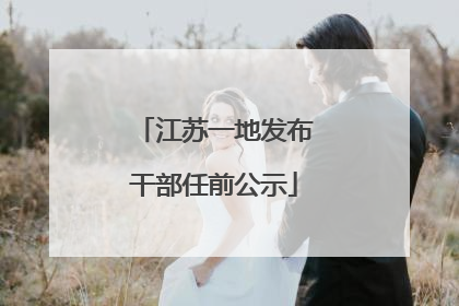 江苏一地发布干部任前公示