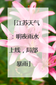江苏天气：明夜雨水上线，局部暴雨