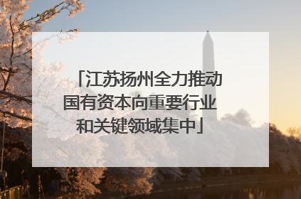 江苏扬州全力推动国有资本向重要行业和关键领域集中