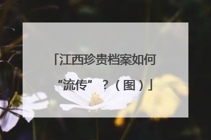 江西珍贵档案如何“流传”？（图）