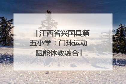 江西省兴国县第五小学：门球运动赋能体教融合