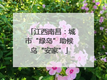 江西南昌：城市“绿岛”助候鸟“安家”