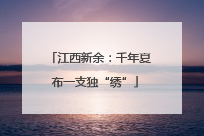 江西新余：千年夏布一支独“绣”