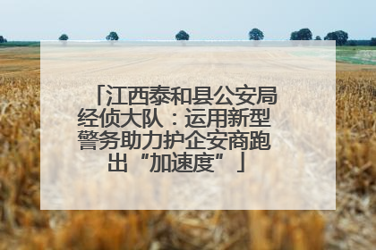 江西泰和县公安局经侦大队：运用新型警务助力护企安商跑出“加速度”