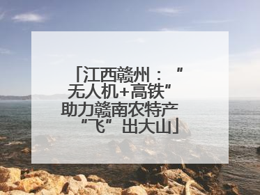 江西赣州：“无人机+高铁”助力赣南农特产“飞”出大山
