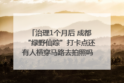 治理1个月后 成都“绿野仙踪”打卡点还有人横穿马路去拍照吗？｜民情瞭望