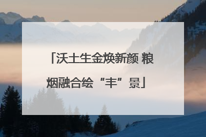 沃土生金焕新颜 粮烟融合绘“丰”景