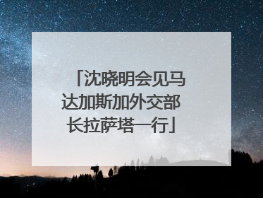 沈晓明会见马达加斯加外交部长拉萨塔一行