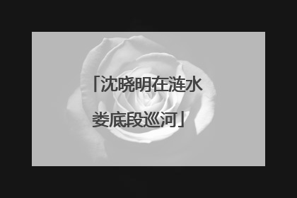沈晓明在涟水娄底段巡河